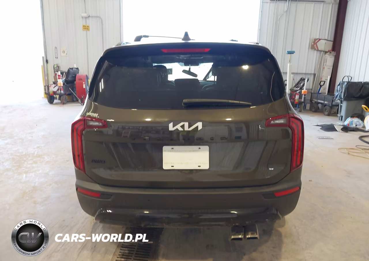 2022 Kia Telluride Sx VIN:5XYP5DHC3NG283453 - 17