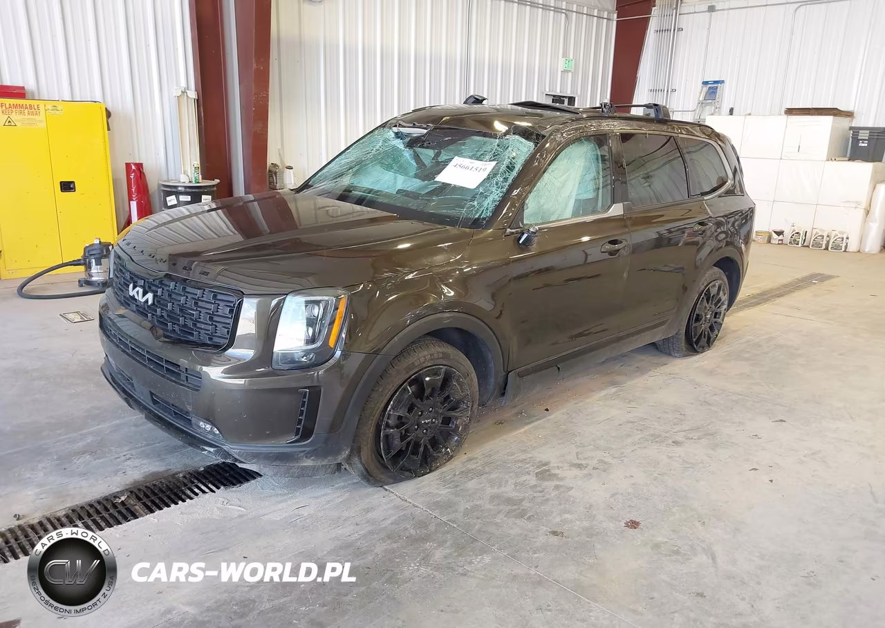 2022 Kia Telluride Sx VIN:5XYP5DHC3NG283453 - 2