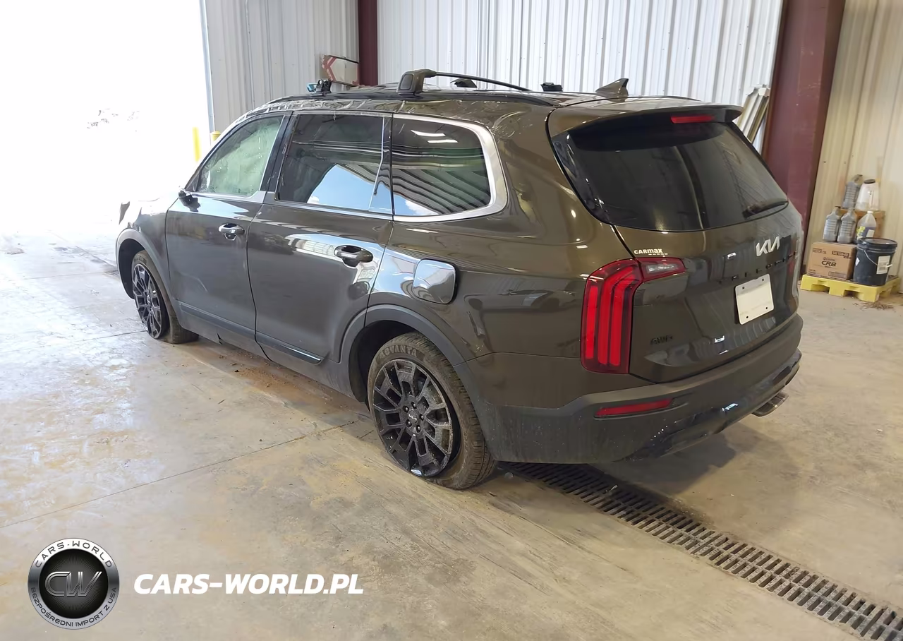 2022 Kia Telluride Sx VIN:5XYP5DHC3NG283453 - 3