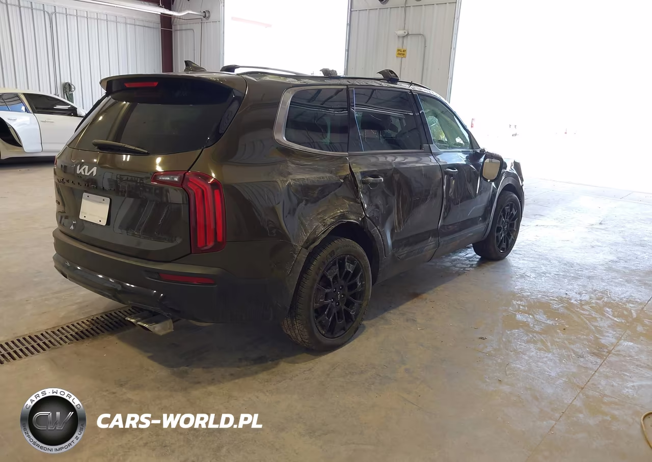 2022 Kia Telluride Sx VIN:5XYP5DHC3NG283453 - 4
