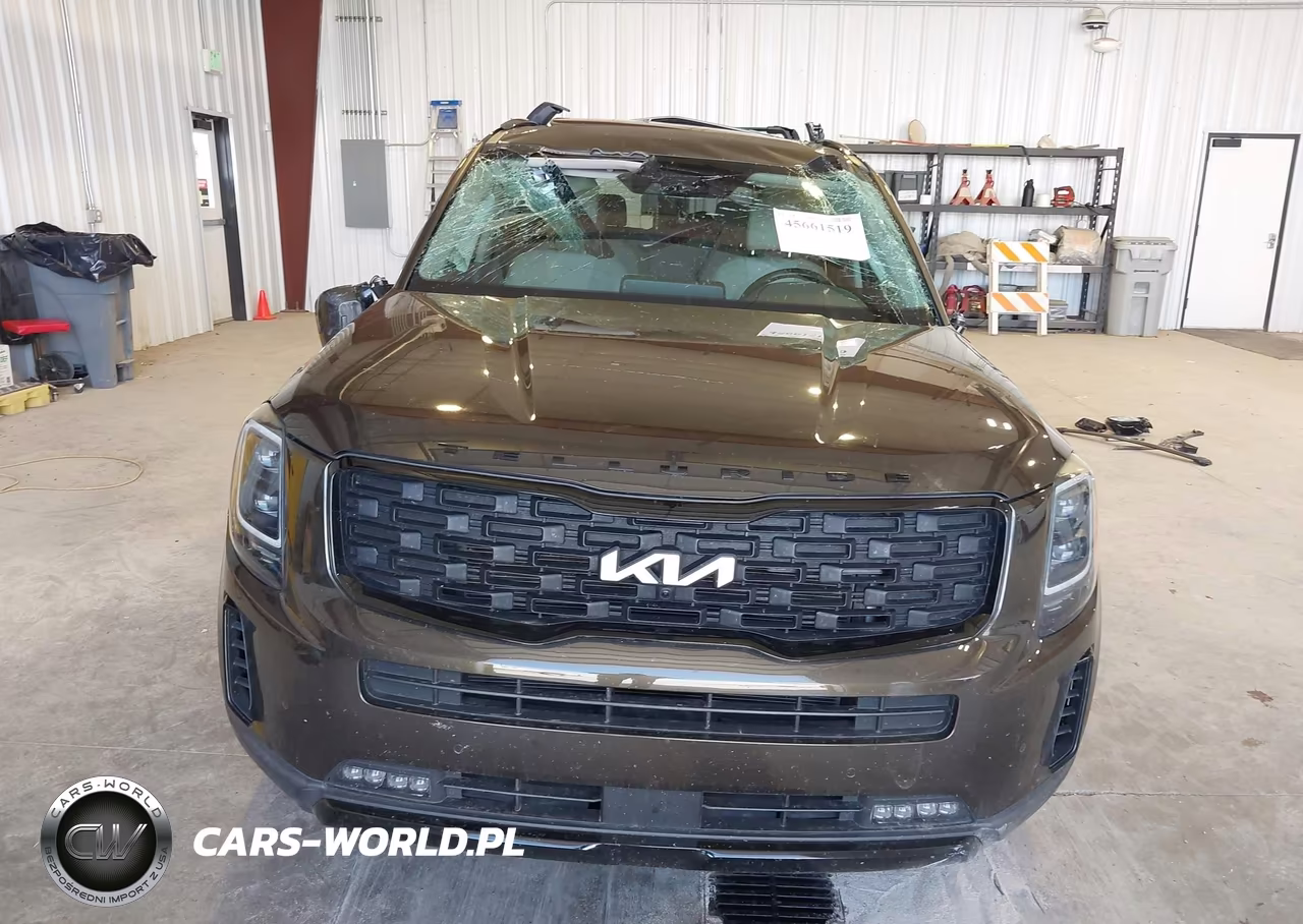 2022 Kia Telluride Sx VIN:5XYP5DHC3NG283453 - 6