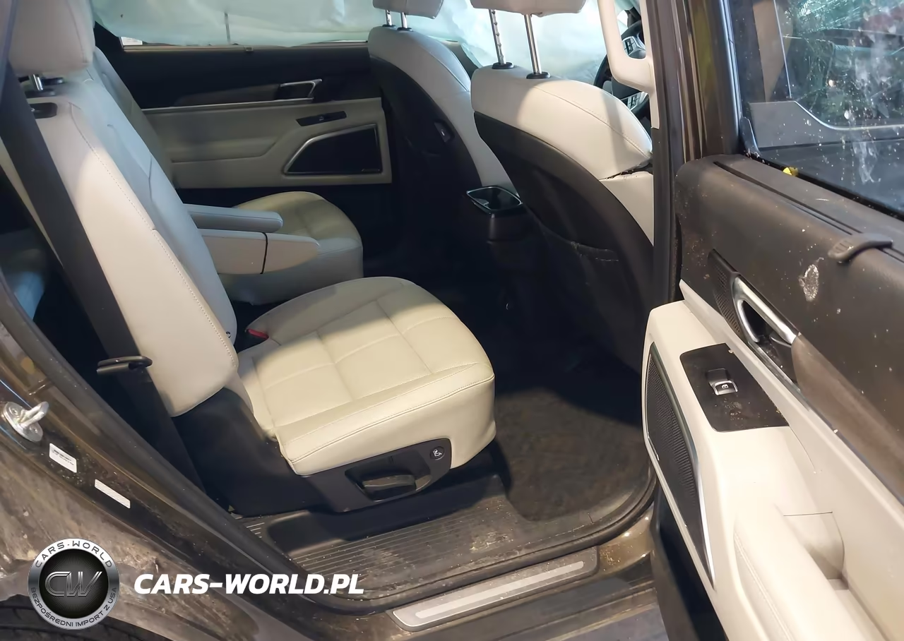 2022 Kia Telluride Sx VIN:5XYP5DHC3NG283453 - 8