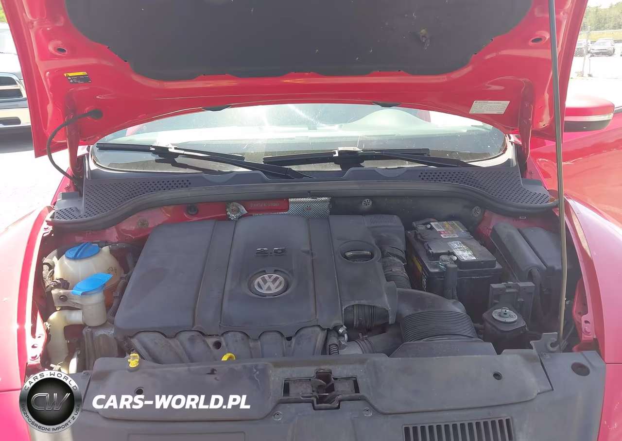 2014 Volkswagen Beetle 2.5L VIN:3VWHP7AT8EM631063 - 10