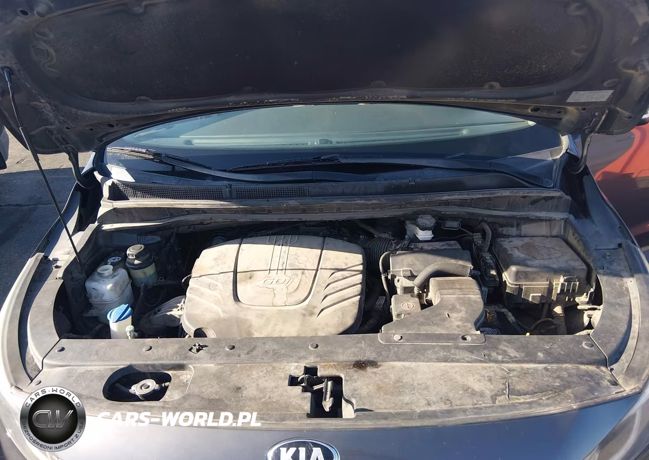 2016 Kia Sedona Lx VIN:KNDMB5C12G6120001 - 10