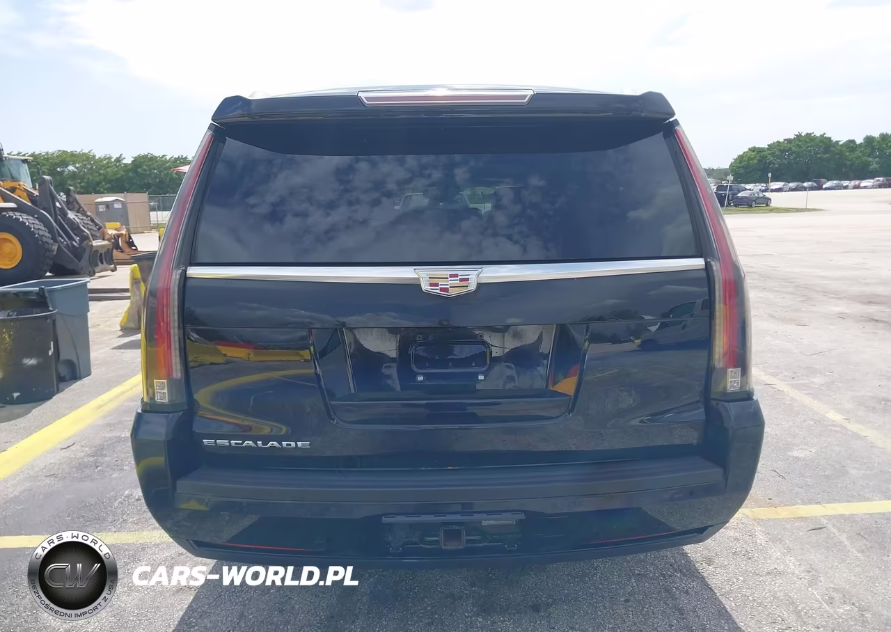 2016 Cadillac Escalade Esv Luxury Collection VIN:1GYS3HKJ7GR257029 - 16