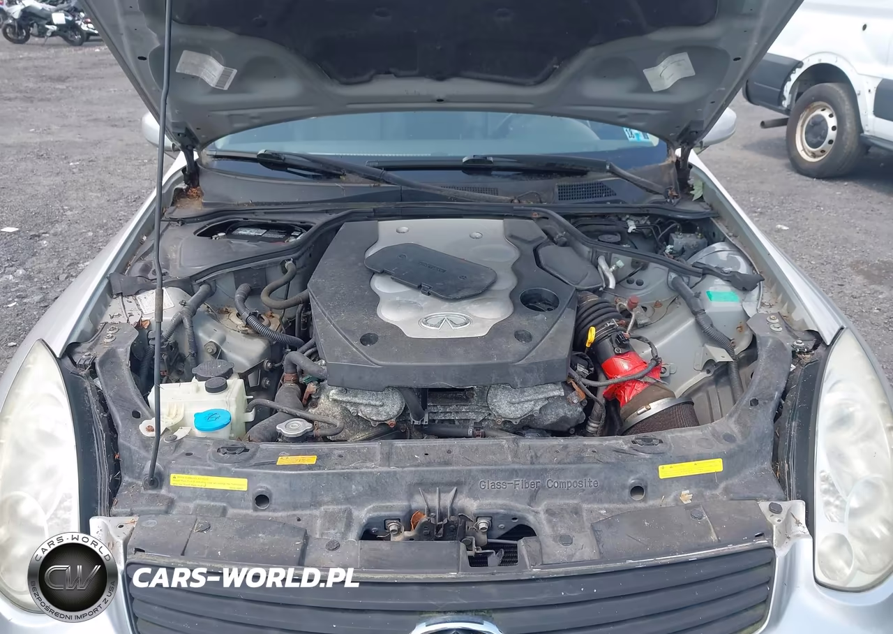 2004 Infiniti G35 VIN:JNKCV54EX4M806460 - 10