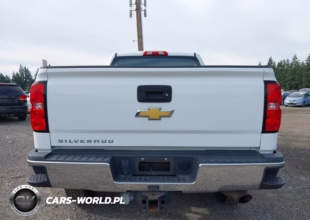 2018 Chevrolet Silverado 2500Hd Wt VIN:1GC1KUEG6JF257514 - 16