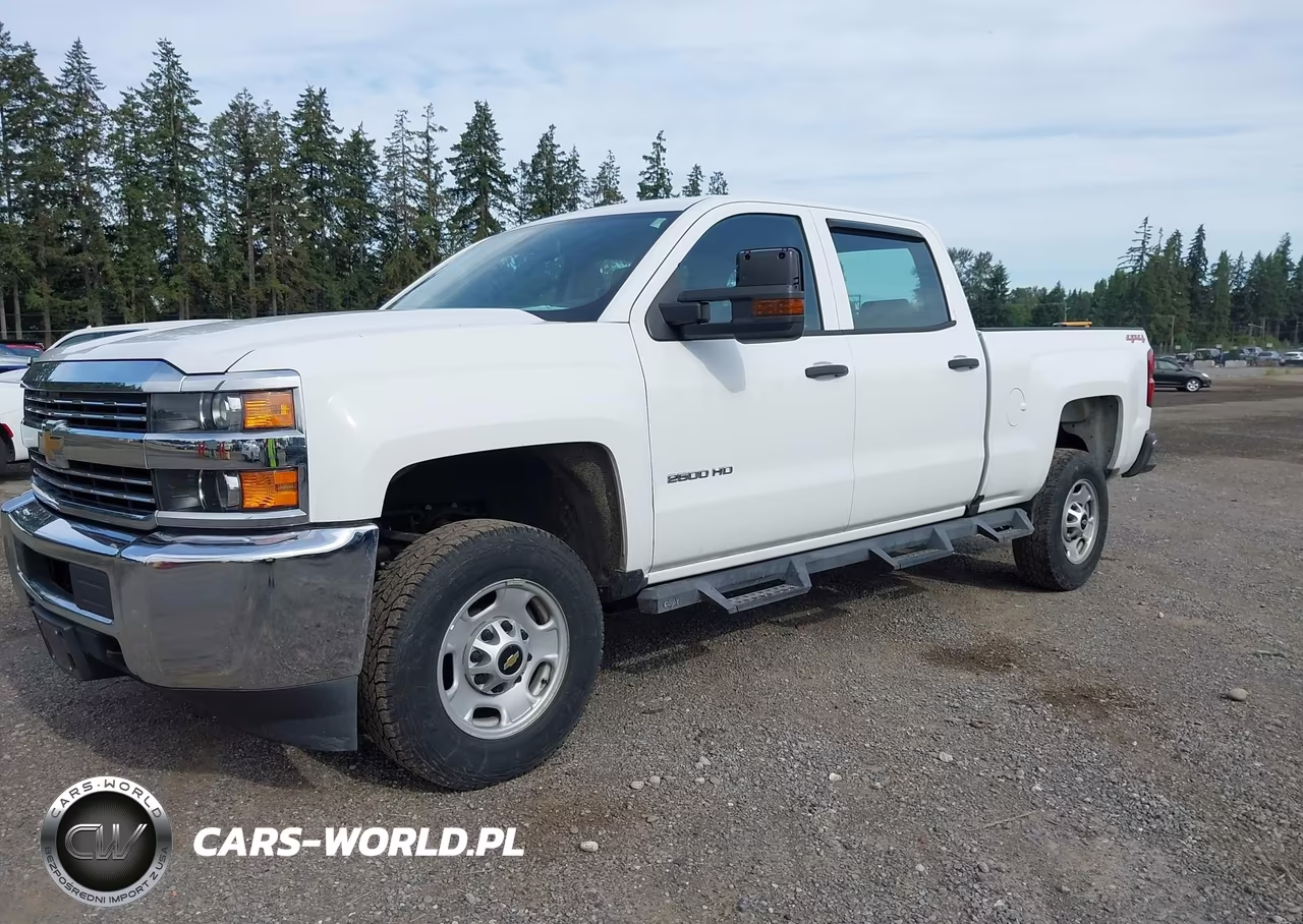 2018 Chevrolet Silverado 2500Hd Wt VIN:1GC1KUEG6JF257514 - 2