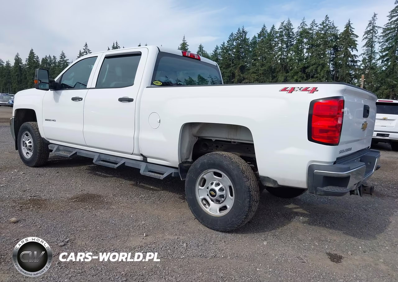 2018 Chevrolet Silverado 2500Hd Wt VIN:1GC1KUEG6JF257514 - 3
