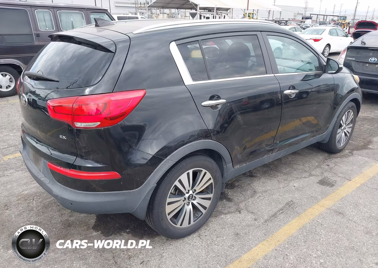 2015 Kia Sportage Ex VIN:KNDPC3AC0F7761403 - 4