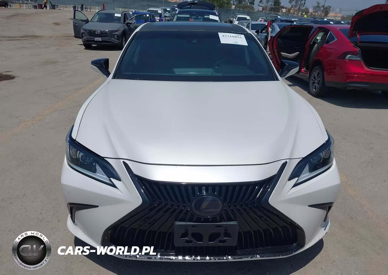 2021 Lexus Es 300H VIN:58ADA1C13MU005088 - 12