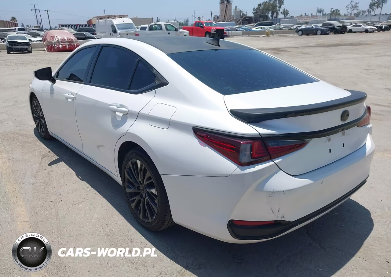 2021 Lexus Es 300H VIN:58ADA1C13MU005088 - 3