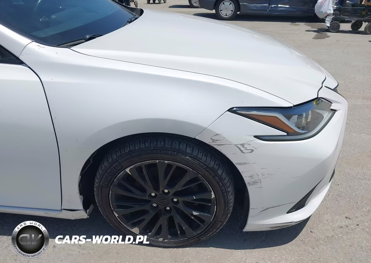 2021 Lexus Es 300H VIN:58ADA1C13MU005088 - 6