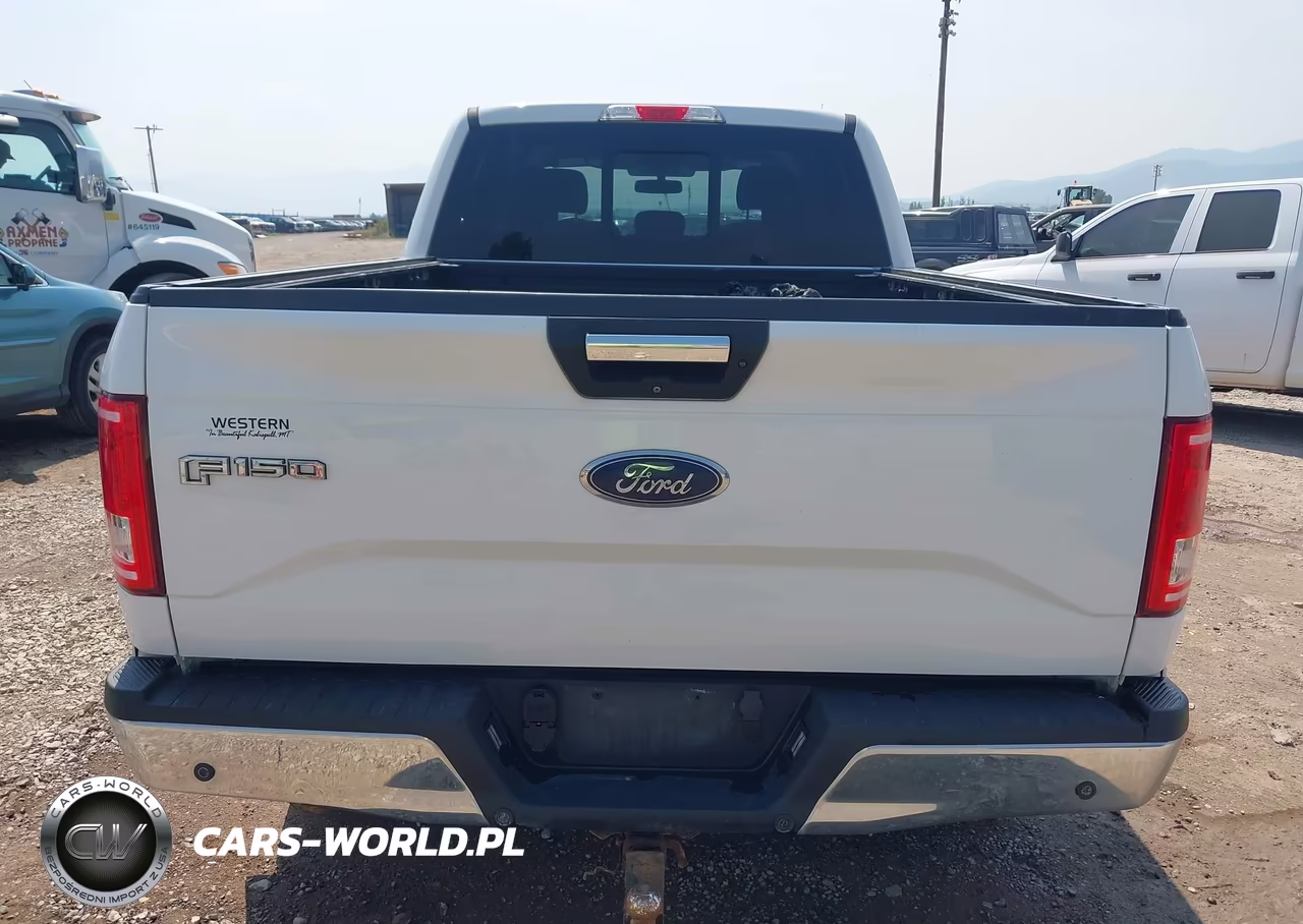 2016 Ford F-150 Xlt VIN:1FTFW1EG6GFC76744 - 17
