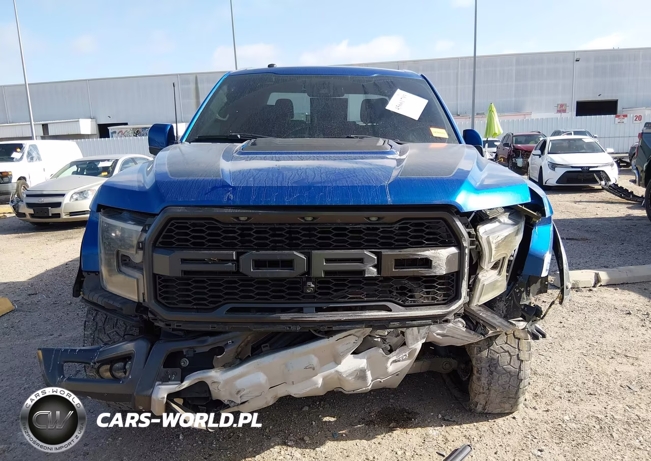 2017 Ford F-150 Raptor VIN:1FTFW1RG9HFB16126 - 12