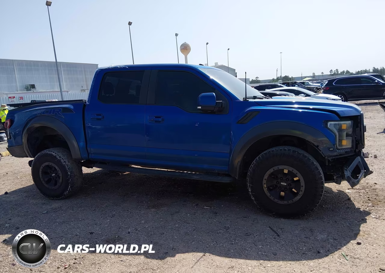 2017 Ford F-150 Raptor VIN:1FTFW1RG9HFB16126 - 13