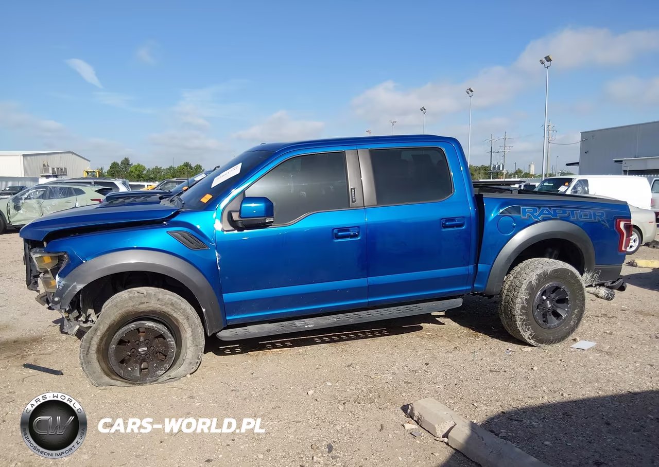 2017 Ford F-150 Raptor VIN:1FTFW1RG9HFB16126 - 14