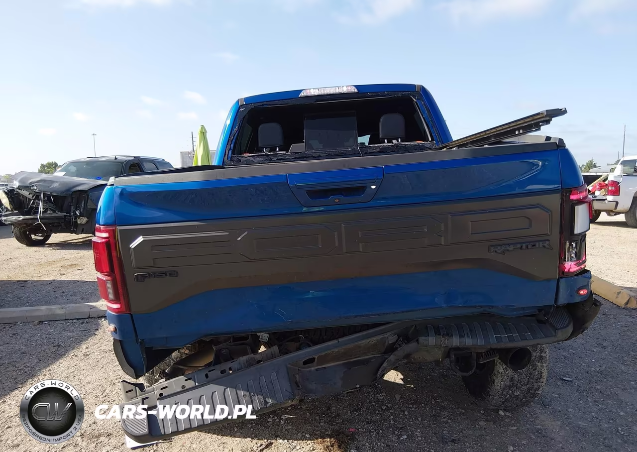 2017 Ford F-150 Raptor VIN:1FTFW1RG9HFB16126 - 16