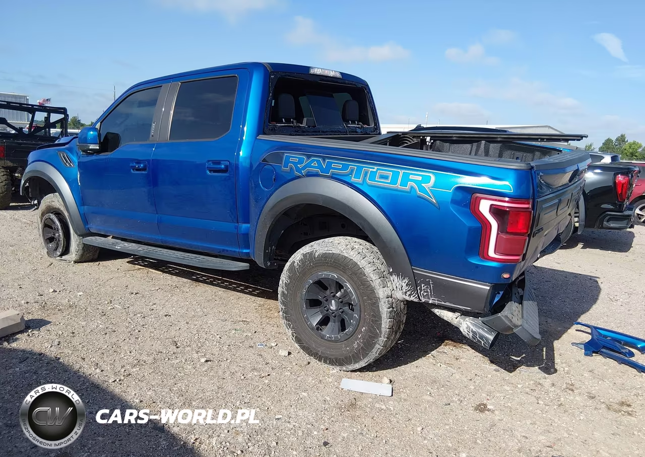 2017 Ford F-150 Raptor VIN:1FTFW1RG9HFB16126 - 3