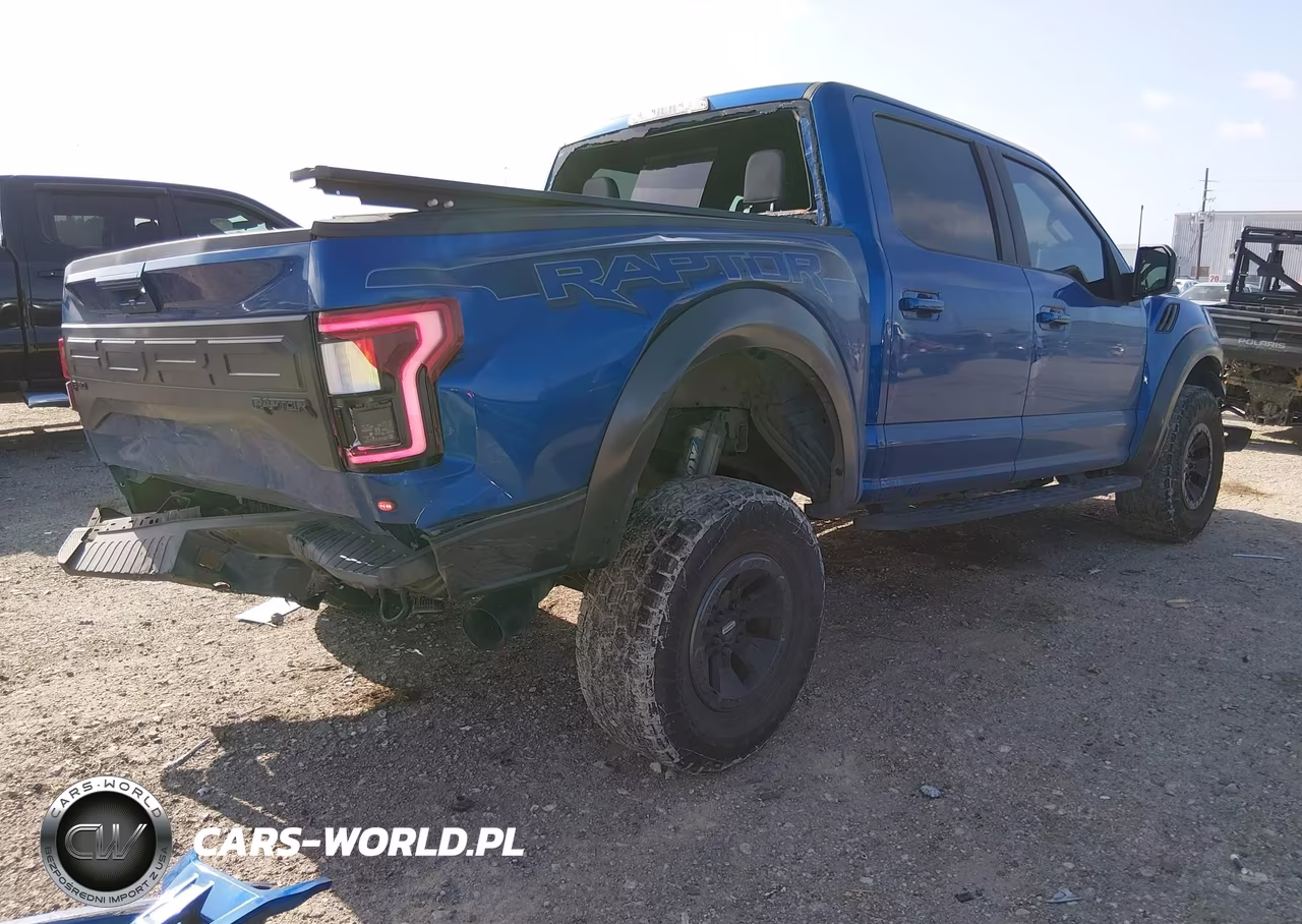 2017 Ford F-150 Raptor VIN:1FTFW1RG9HFB16126 - 4