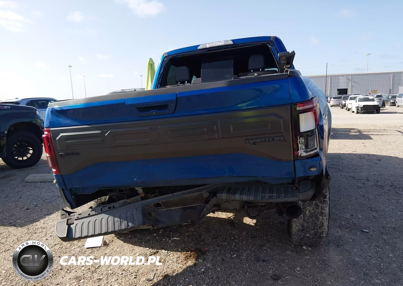 2017 Ford F-150 Raptor VIN:1FTFW1RG9HFB16126 - 6