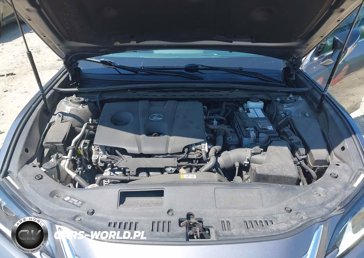 2021 Lexus Es 250 VIN:58AD11D11MU006089 - 10