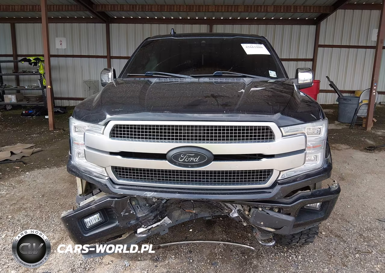 2019 Ford F-150 Platinum VIN:1FTEW1E54KFB33309 - 12
