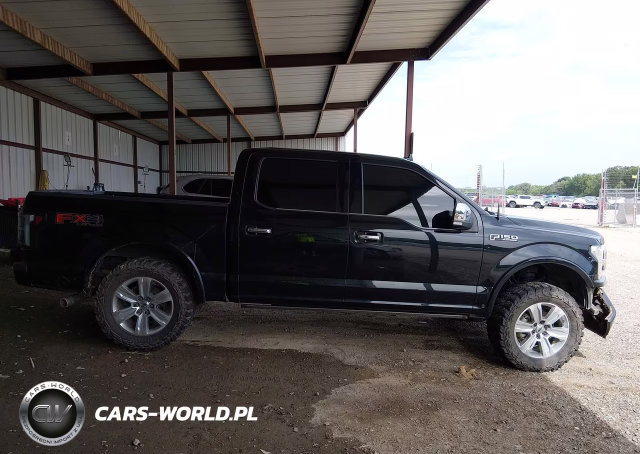 2019 Ford F-150 Platinum VIN:1FTEW1E54KFB33309 - 13