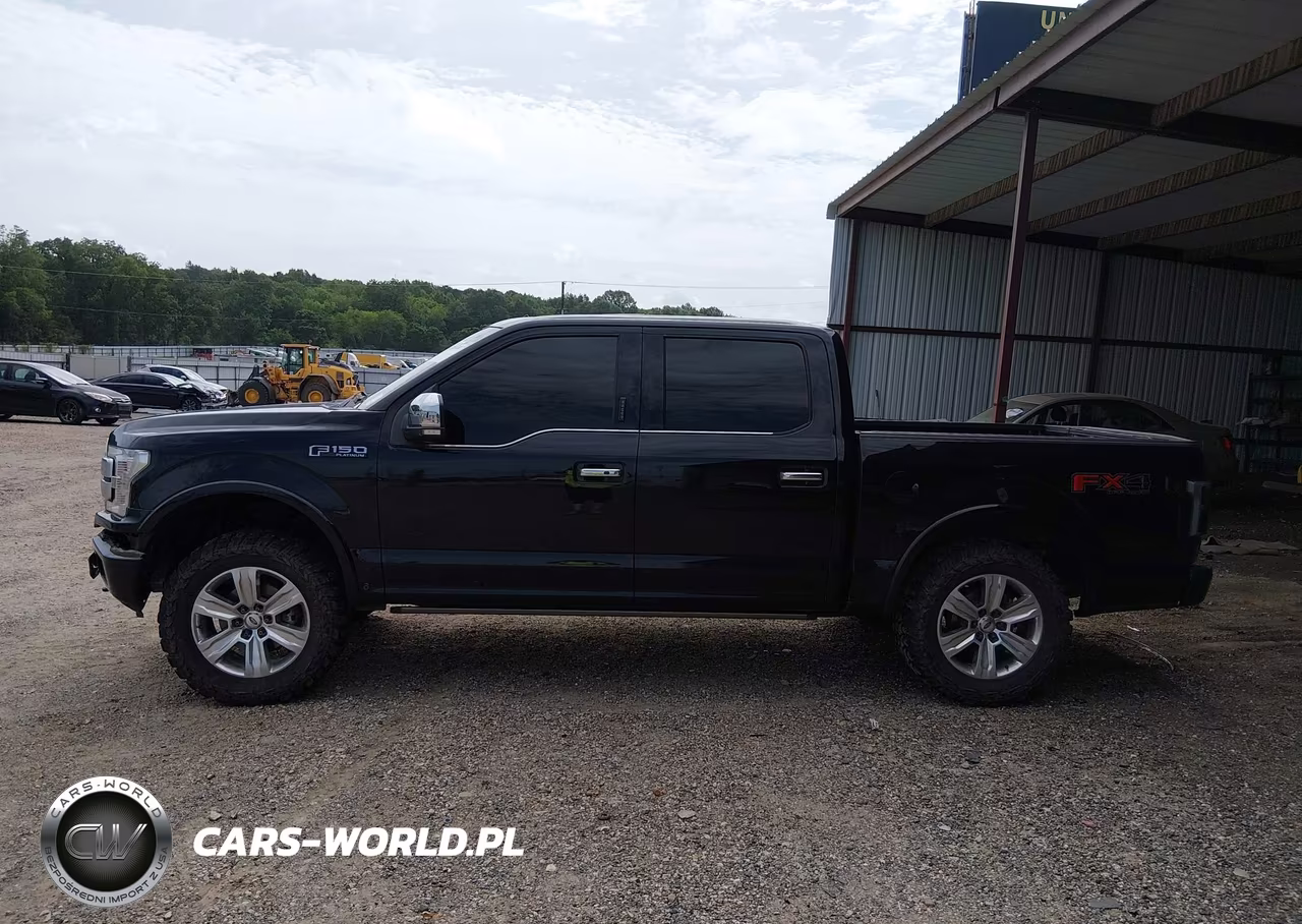 2019 Ford F-150 Platinum VIN:1FTEW1E54KFB33309 - 14