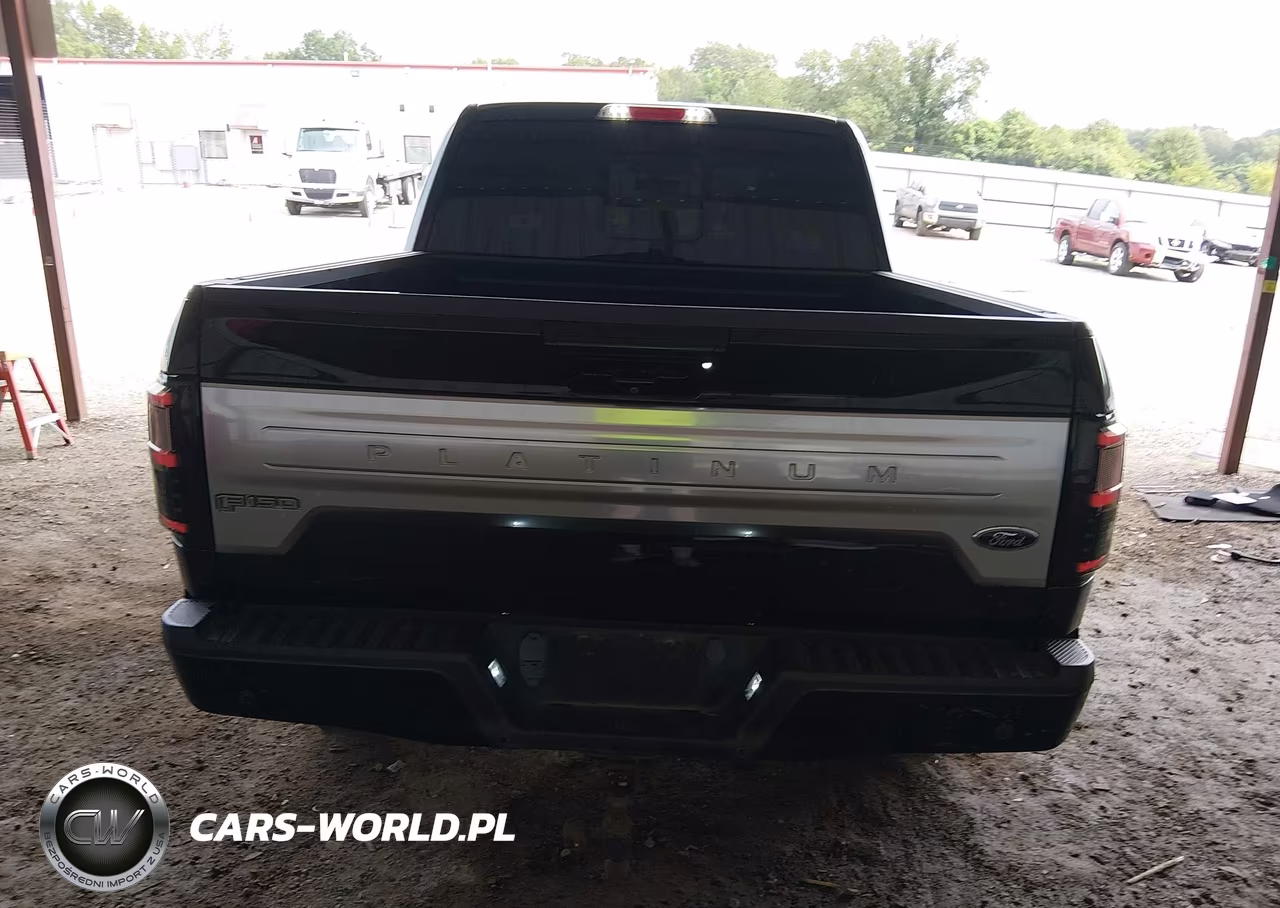 2019 Ford F-150 Platinum VIN:1FTEW1E54KFB33309 - 16