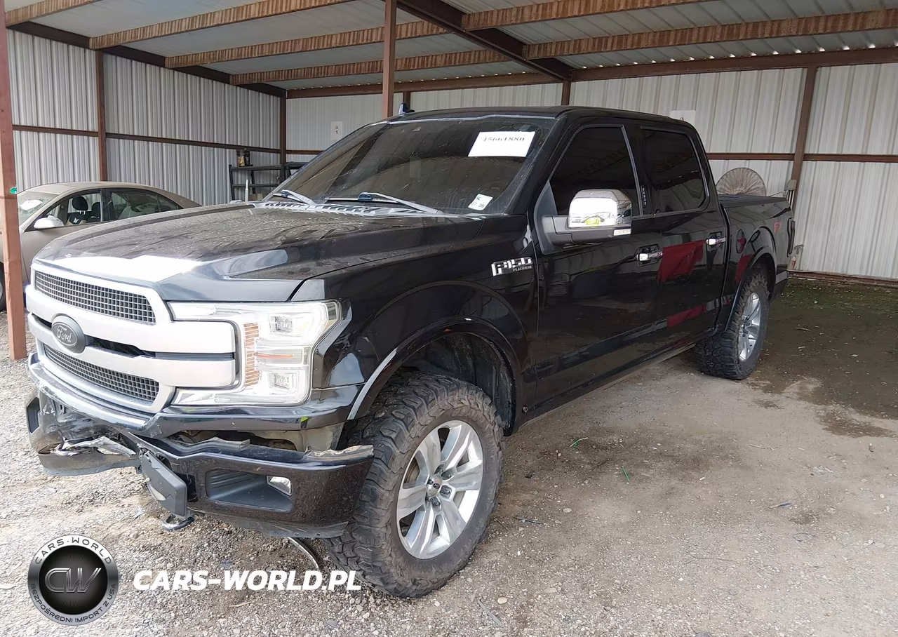 2019 Ford F-150 Platinum VIN:1FTEW1E54KFB33309 - 2