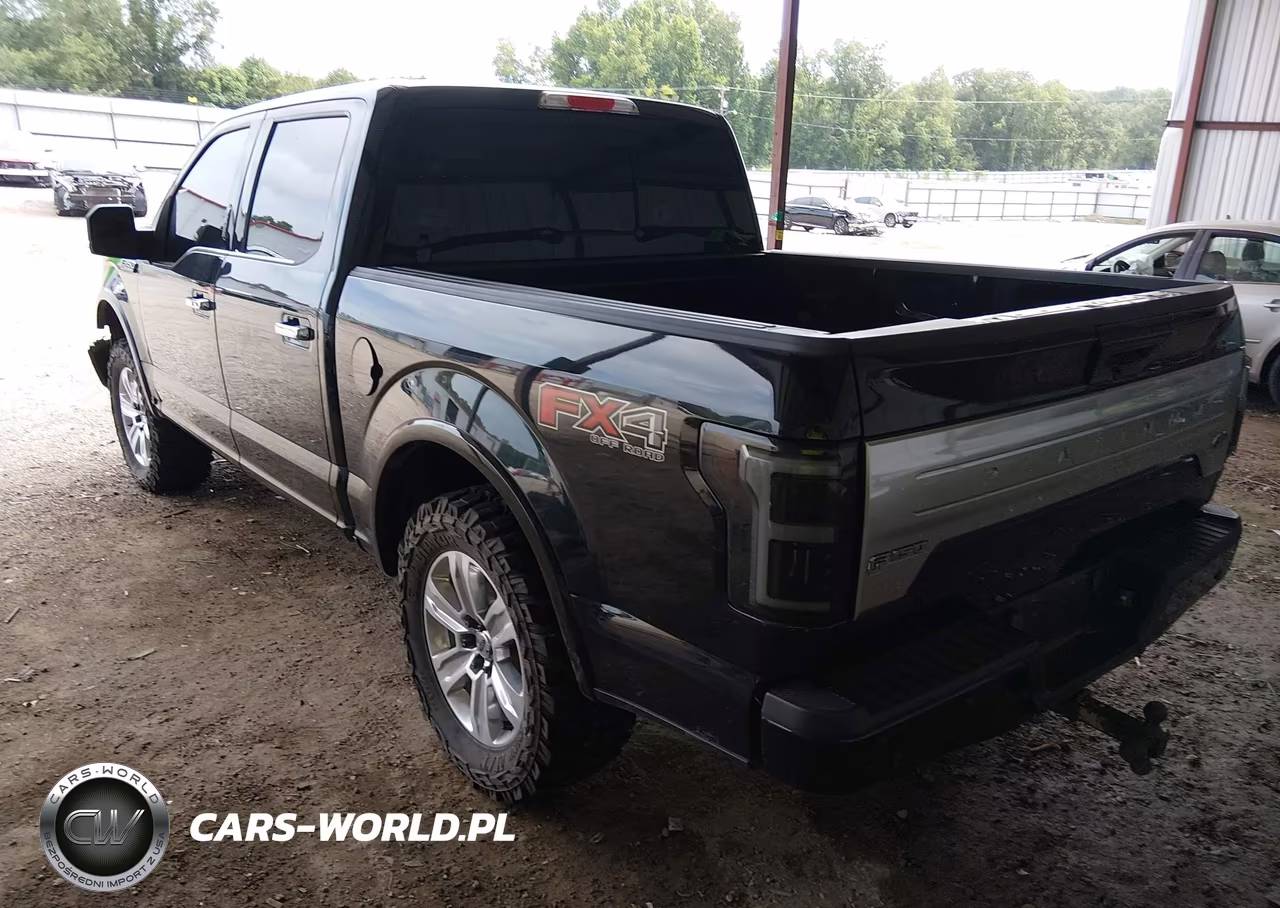 2019 Ford F-150 Platinum VIN:1FTEW1E54KFB33309 - 3