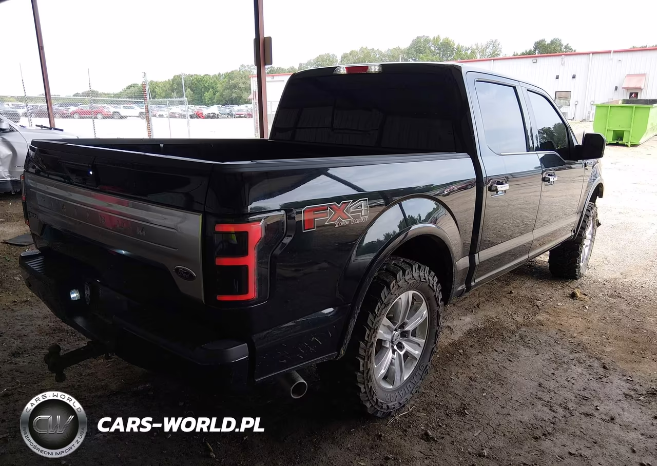 2019 Ford F-150 Platinum VIN:1FTEW1E54KFB33309 - 4