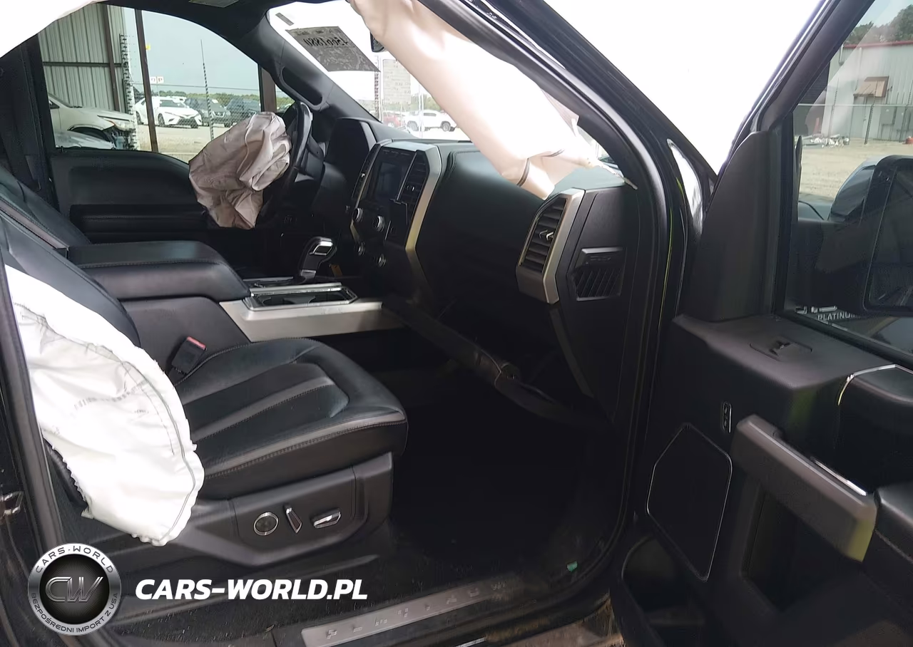 2019 Ford F-150 Platinum VIN:1FTEW1E54KFB33309 - 5