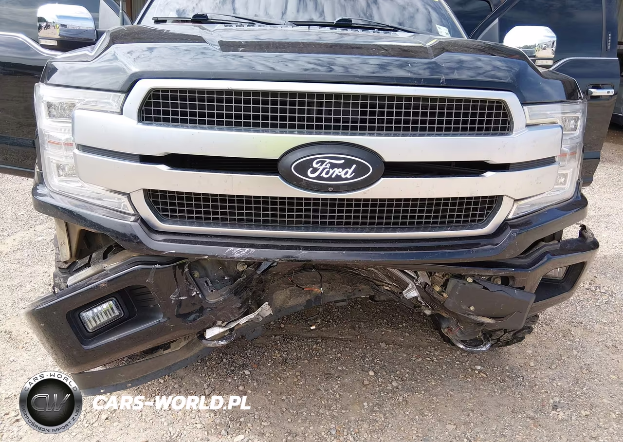 2019 Ford F-150 Platinum VIN:1FTEW1E54KFB33309 - 6