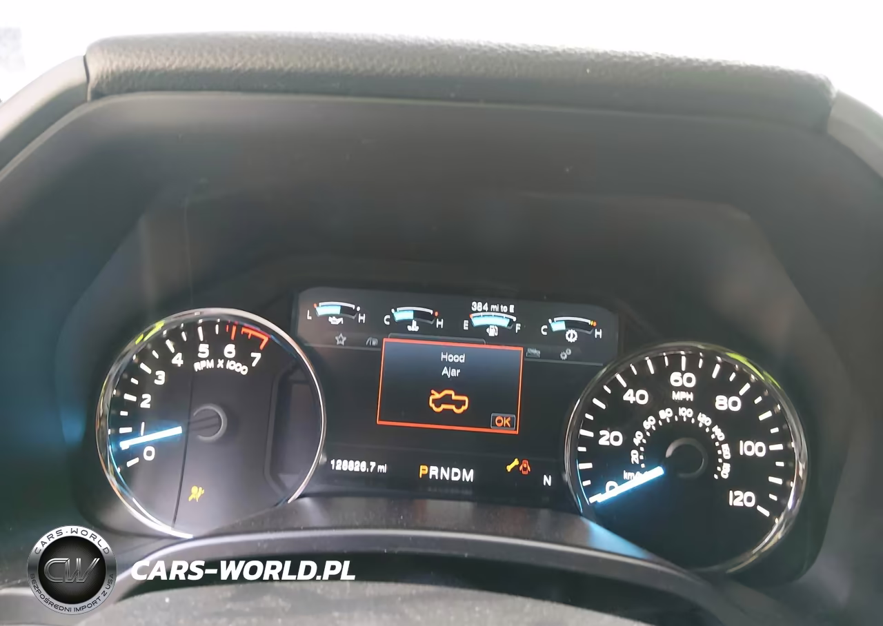 2019 Ford F-150 Platinum VIN:1FTEW1E54KFB33309 - 7