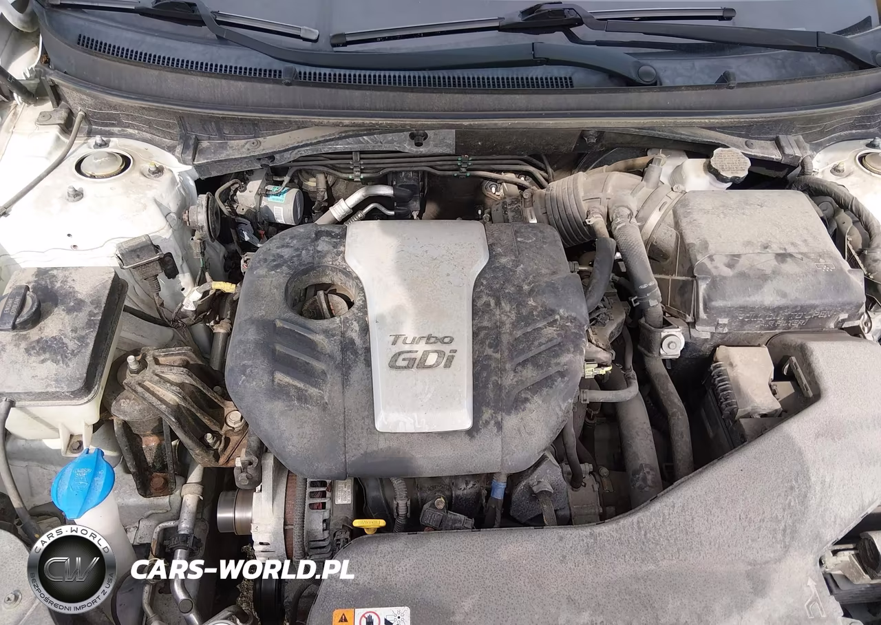 2016 Hyundai Sonata Eco VIN:5NPE24AA6GH432409 - 10