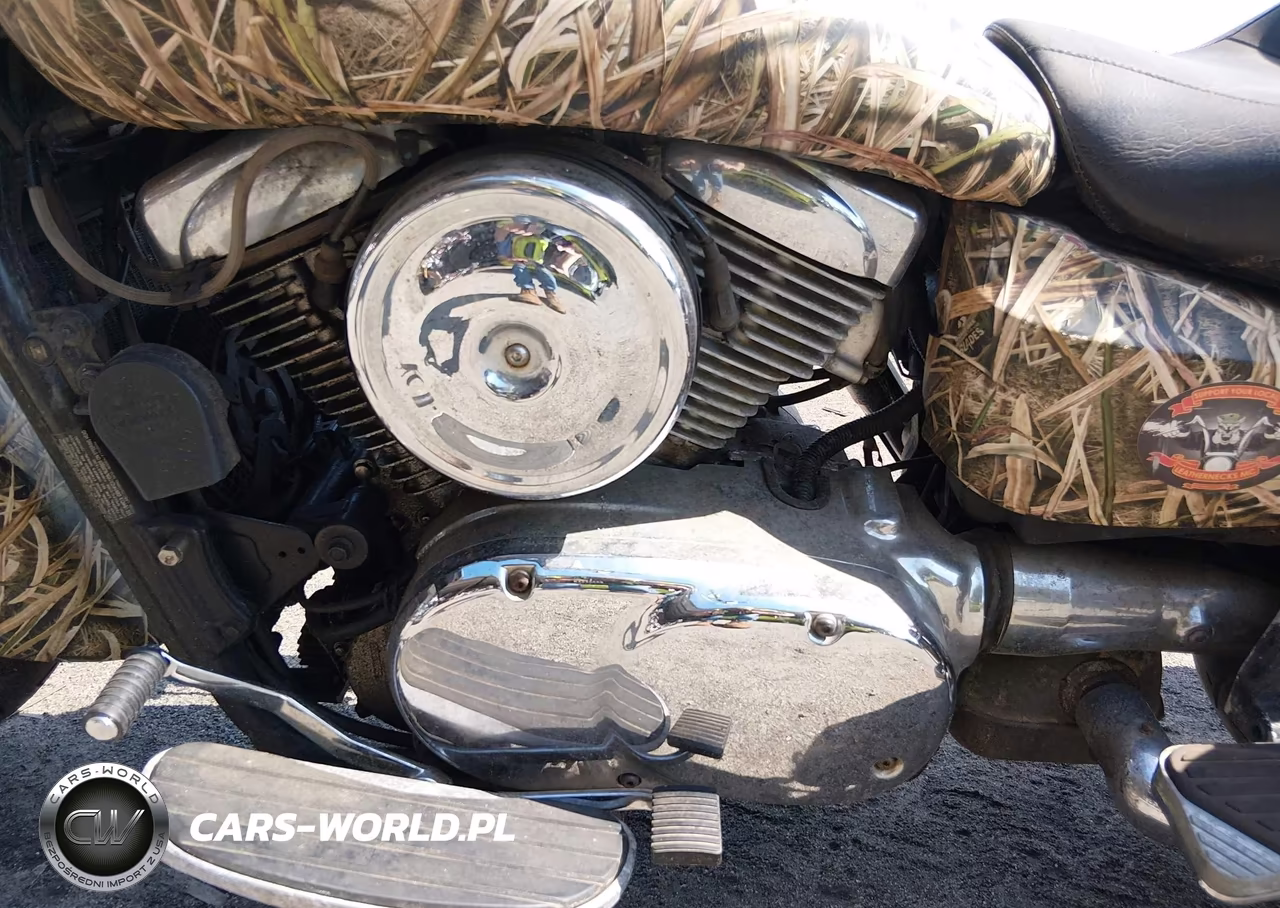 2003 Kawasaki Vn1600 A1 VIN:JKBVNKA113A003651 - 9