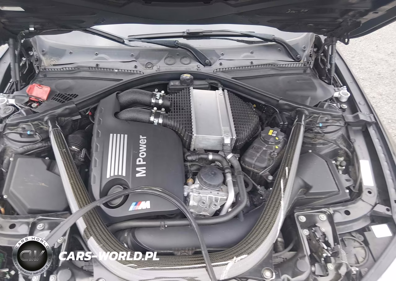 2016 BMW M4 VIN:WBS3R9C53GK336750 - 10