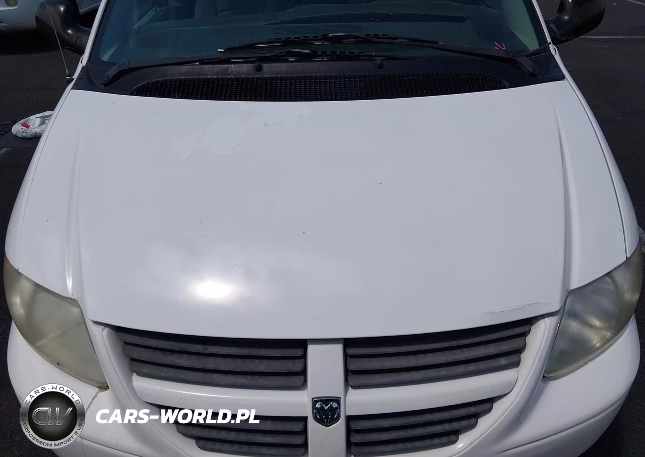 2007 Dodge Grand Caravan Sxt VIN:2D4GP44L77R118099 - 10
