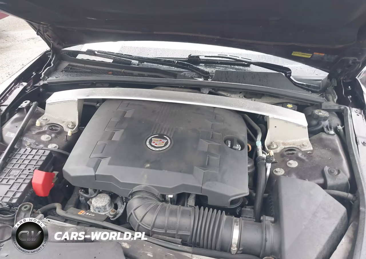 2010 Cadillac Cts Premium VIN:1G6DS5EV3A0129500 - 10