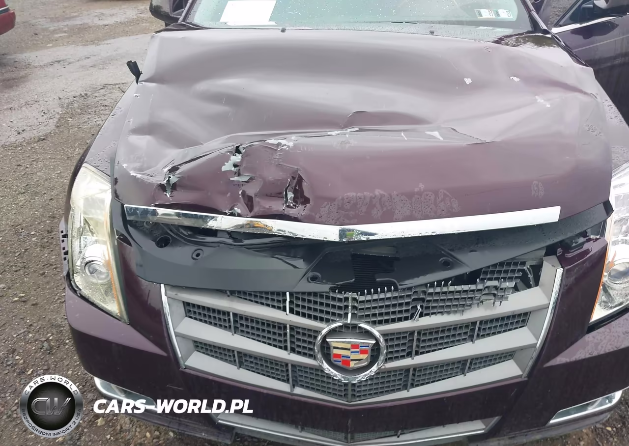 2010 Cadillac Cts Premium VIN:1G6DS5EV3A0129500 - 6