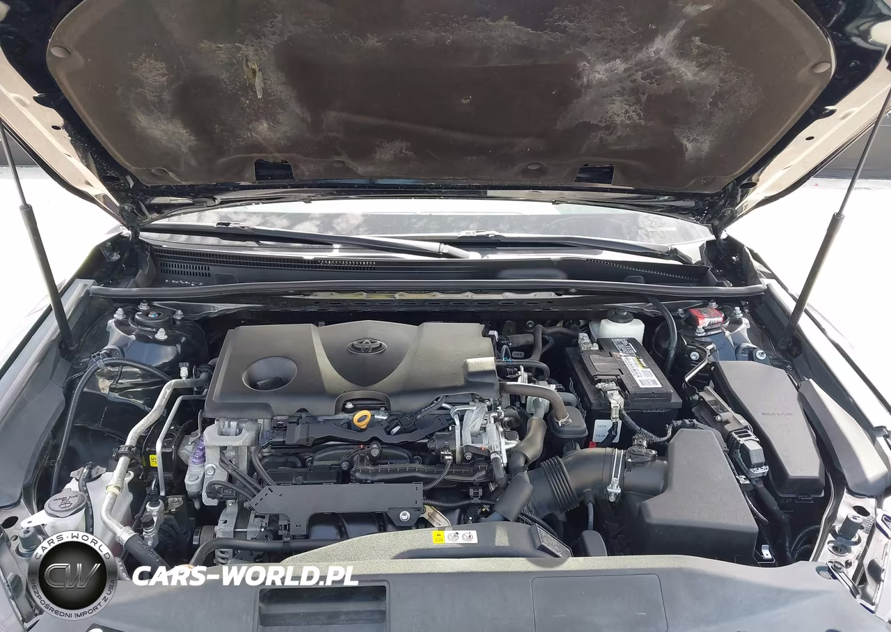 2019 Toyota Camry Le VIN:4T1B11HK2KU696904 - 10