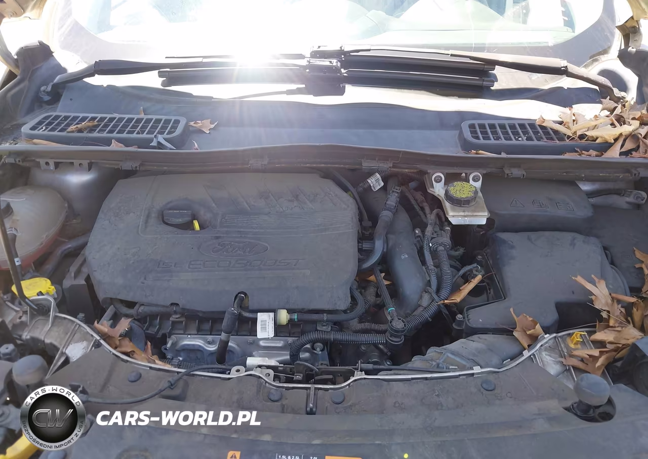 2017 Ford Escape Se VIN:1FMCU0GDXHUC27061 - 10