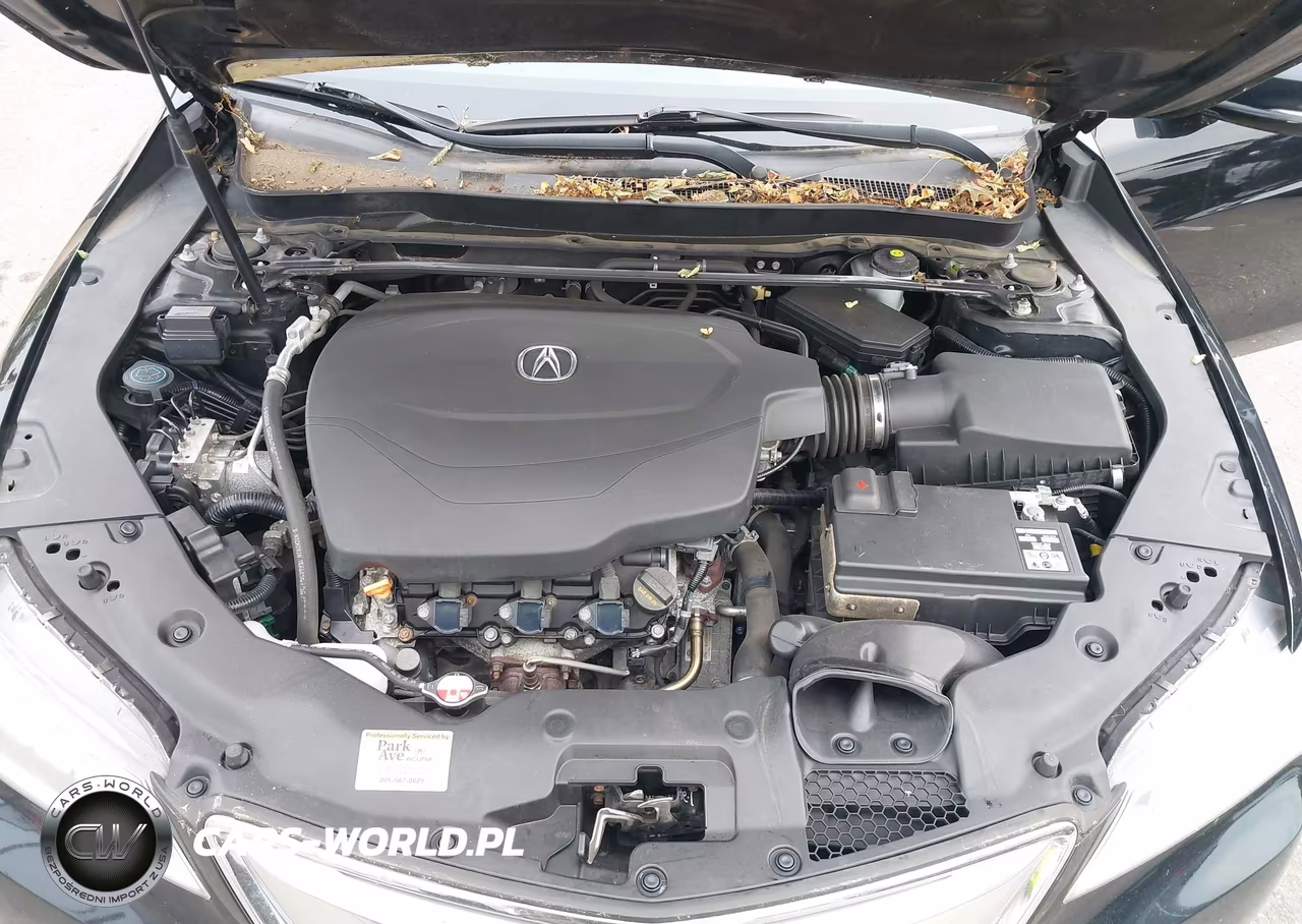 2015 Acura Tlx V6 Tech VIN:19UUB2F53FA017311 - 10