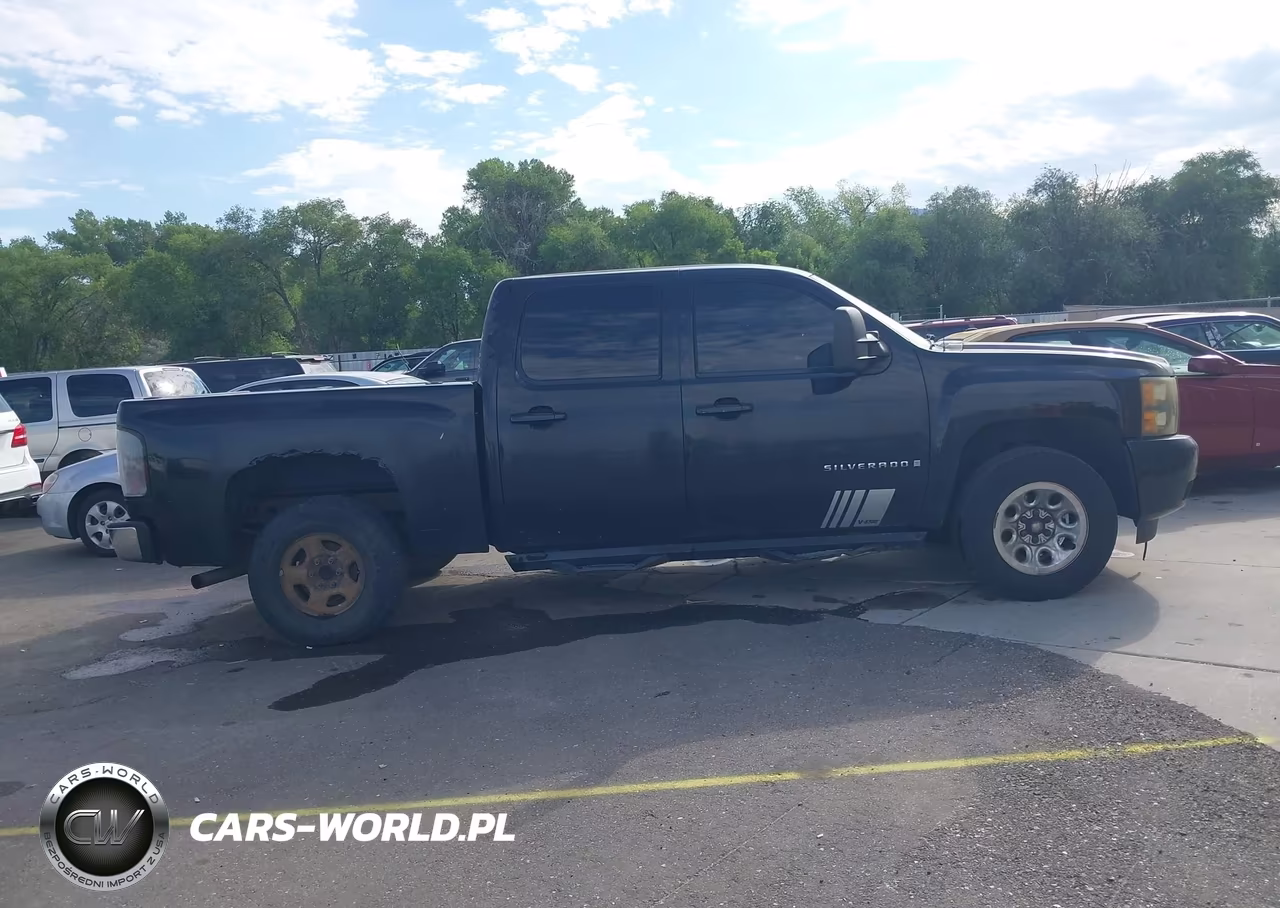 2008 Chevrolet Silverado 1500 Lt1-Lt2-Ltz-Work Truck VIN:2GCEK13MX81245585 - 13