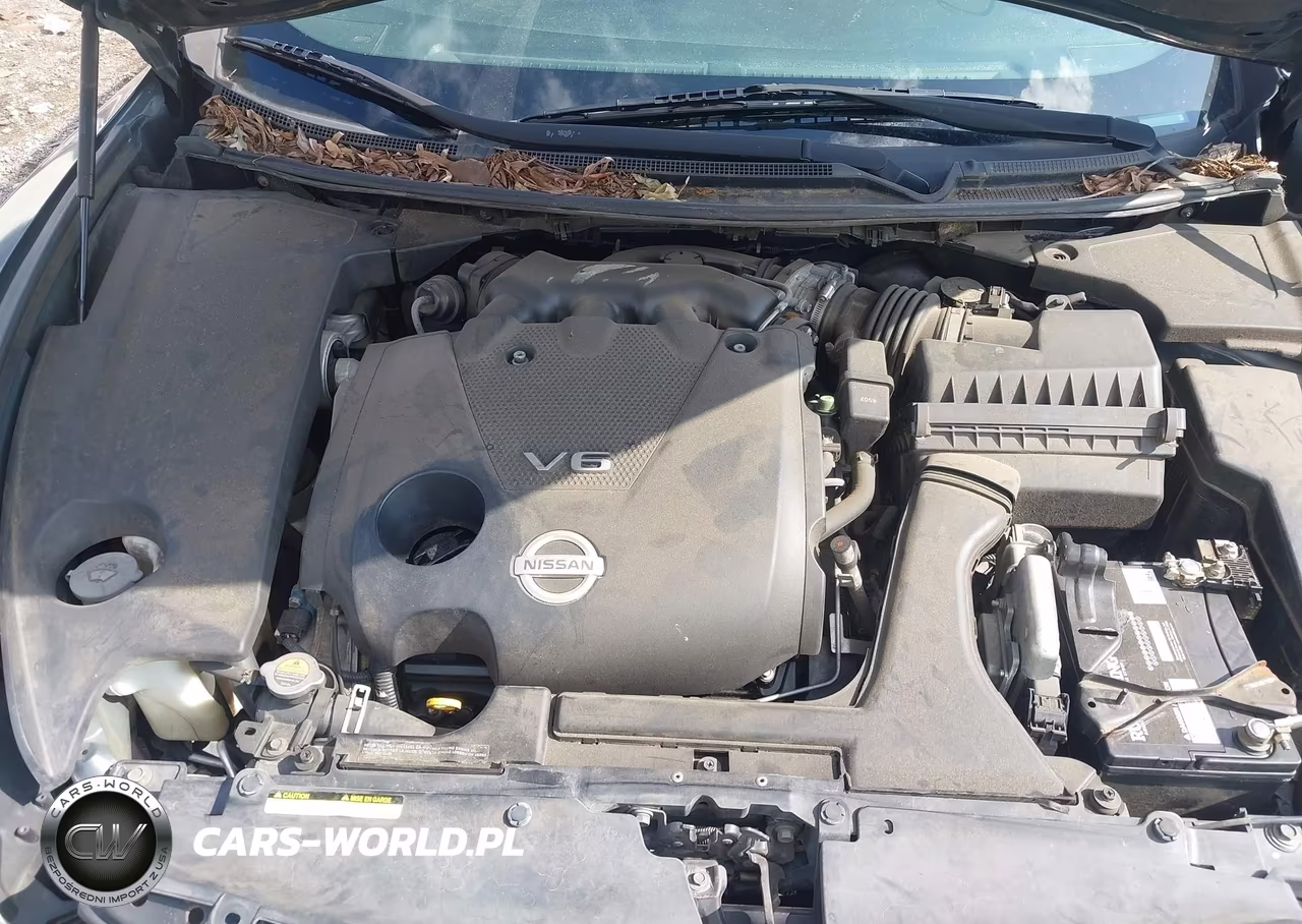 2009 Nissan Maxima 3.5 S VIN:1N4AA51E19C805600 - 10
