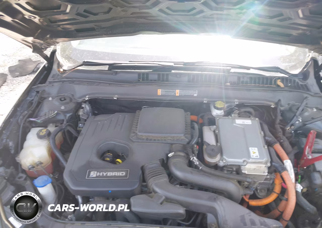 2019 Ford Fusion Hybrid Titanium VIN:3FA6P0RU7KR224354 - 10