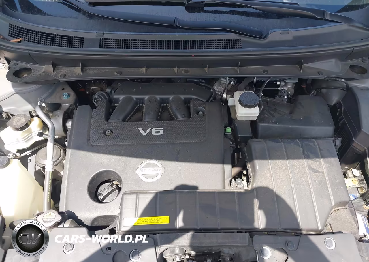 2009 Nissan Murano Sl VIN:JN8AZ18U79W104667 - 10