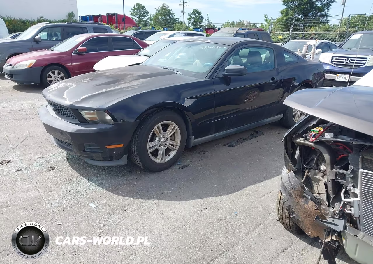 2012 Ford Mustang V6 VIN:1ZVBP8AM8C5212427 - 2